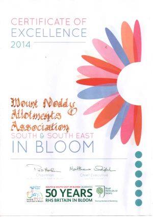 Certificate of Excellence 2014